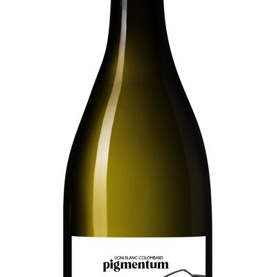 Pigmentum Ugni Blanc Colombard - Blanc - 75cl - Georges Vigouroux - Côtes de Gascogne