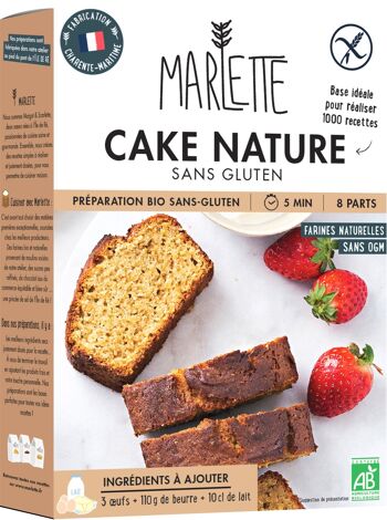 Préparation pour gâteaux bio : Cake nature au Rapadura SANS GLUTEN - Pour 6 personnes - 330g 1
