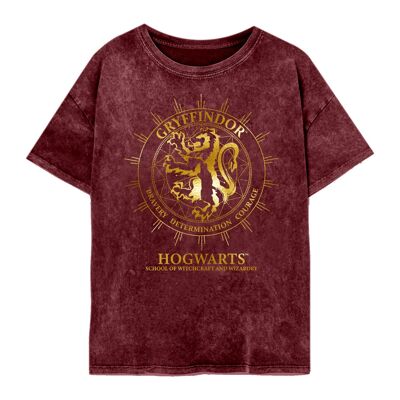 Harry Potter Gryffondor Constellations SuperHeroes Inc. T-shirt délavé à l'acide