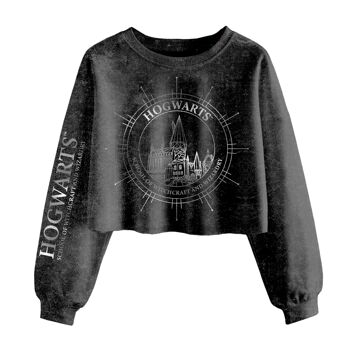 Harry Potter Hogwarts Constellations SuperHeroes Inc. Sweat court délavé à l'acide pour femme