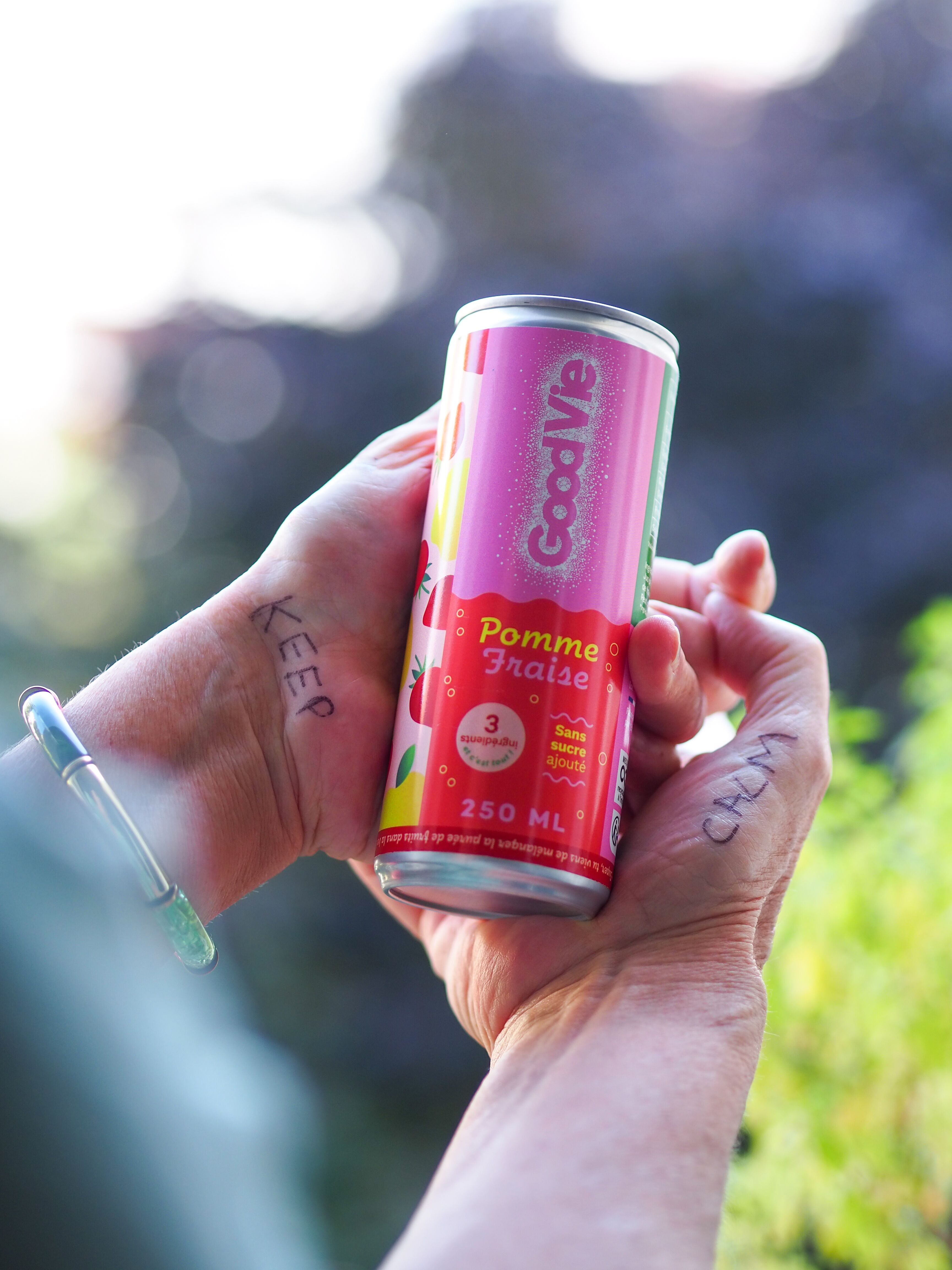 Frucht-Kombucha – Good Vie Apfel-/Erdbeerdose (250 ml)