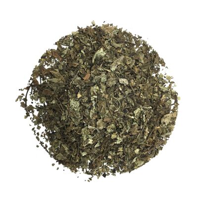 Weißer Tee aus der Roca-Schnittpflanze
