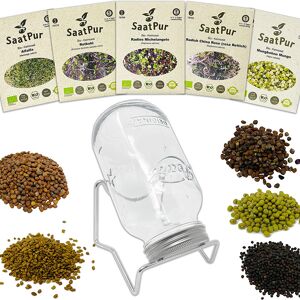 Coffret cadeau de germes bio n°6 avec pot de germes 1L et 5 sachets de graines Graines germées, haut pouvoir de germination, micro-légumes pour une nutrition riche en vitamines, emballage en papier d'herbe durable, végétalien