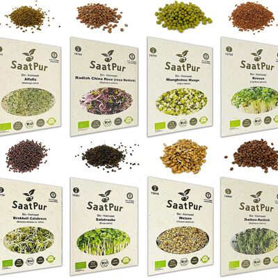 Organic sprouts assortment (8 varieties) alfalfa, broccoli, daikon radish, cress, mungo, mung bean, radish, rocket, wheat