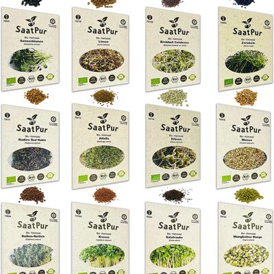 Organic Sprout Seed Set (12 Varieties) Wheat, Sunflower, Onion, Lentil, Cress, Alfalfa, Broccoli, Rocket, Daikon Radish, Mung Bean, Radish Red Rubin, Pea.