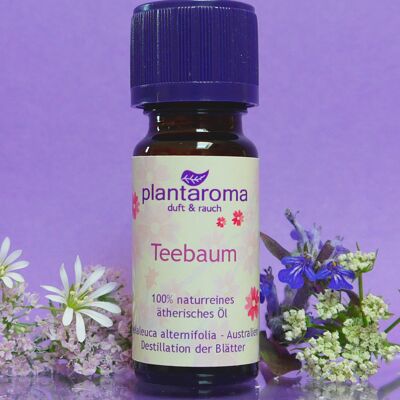 Teebaum