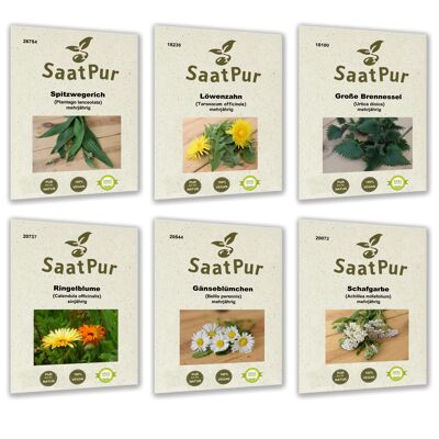 Medicinal herb seed set of 6 for approx. 300 plants, herb seeds, flower seeds, 6 seed bags: buckhorn, dandelion, nettle, marigold, daisy, yarrow, grass paper packaging