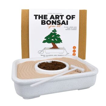 L'art du kit de plantation de bonsaï 2