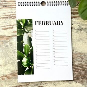 Calendrier perpétuel, calendrier annuel des plantes d'intérieur, non daté, calendrier des anniversaires 2
