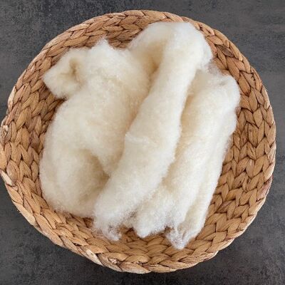 Merino raw wool fibers for spinning and felting, natural white, undad, organic farming, no chemical treatment, hand-washed