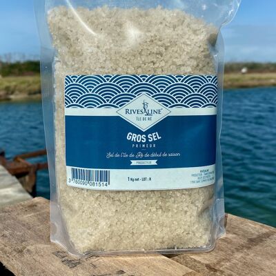 Coarse salt Primeur doypack 1 kg