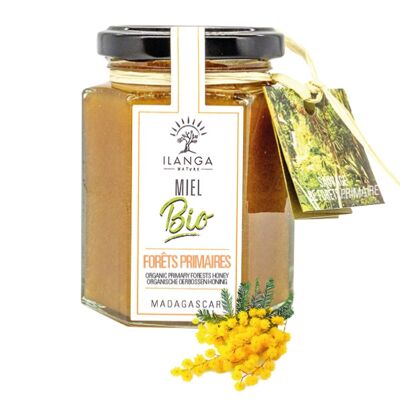 Miel des Forêts Primaires BIO 250g