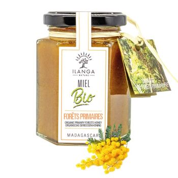 Miel des Forêts Primaires BIO 250g 1