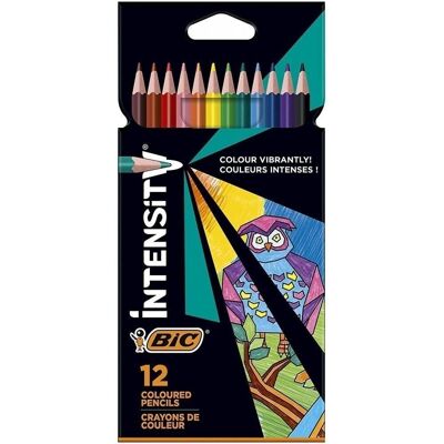 Estuche 12 lápices colores BIC Intensity