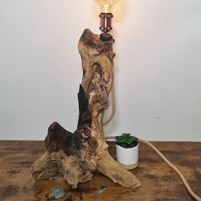 220v led lamp on teak root