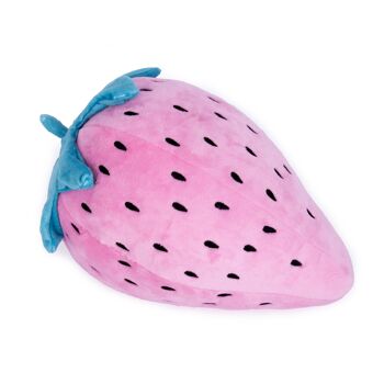 COUSSIN FRAISE HF