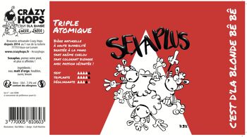 Bière Sexaplus Triple 33cl