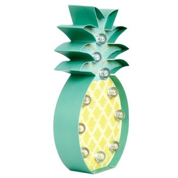 FIGURE LED ANANAS HF 3