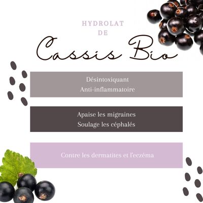 Hydrolat de Cassis BIO 1L
