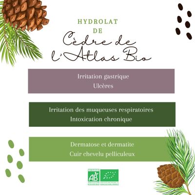 Hydrolat de Cèdre de l'Atlas BIO 1L