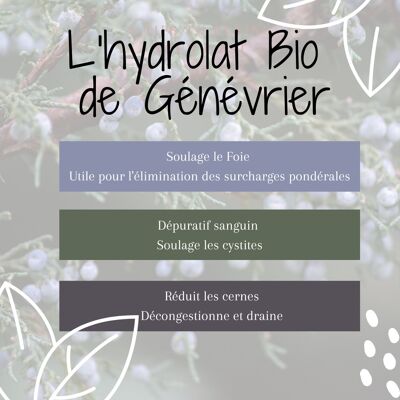 Hydrolat de Génévrier BIO 1L
