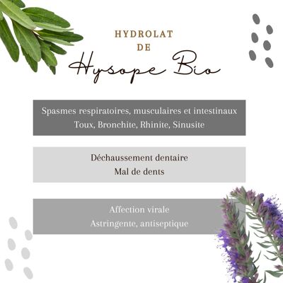 Hydrolat d'Hysope BIO 1L