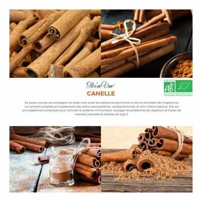 Canelle BIO en poudre