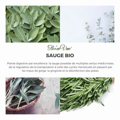 Sauge BIO en poudre