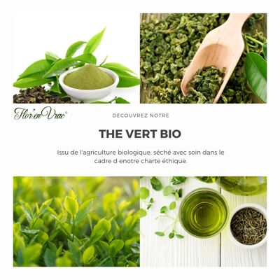 Thé Vert BIO