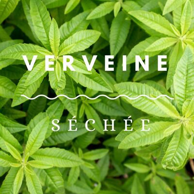 Verveine séchée BIO