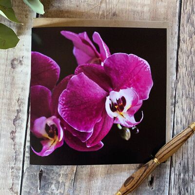 Tarjeta de felicitación de la orquídea rosada - interior en blanco.