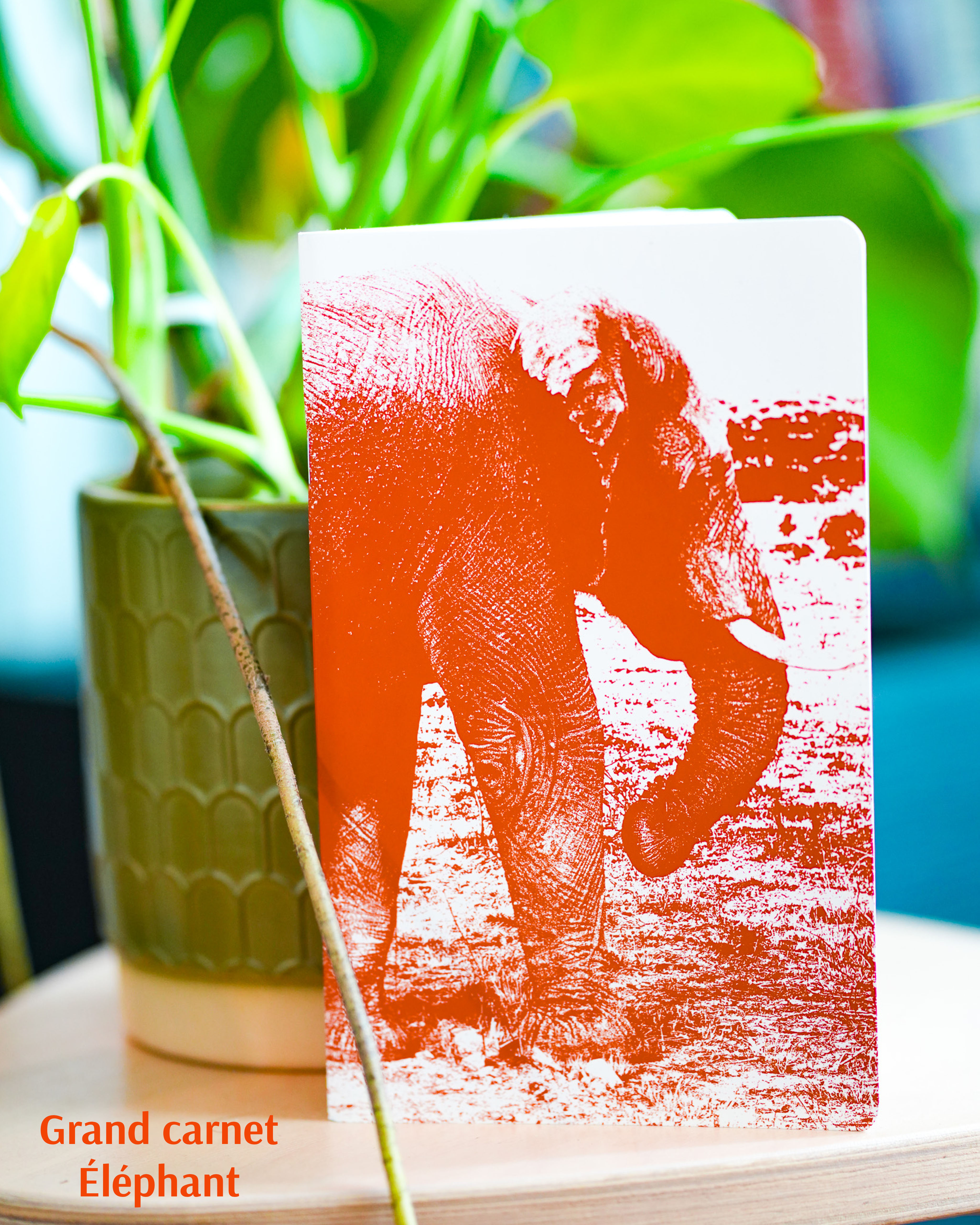 A5 notebook - Elephant animals - 64 lined pages