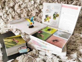 Teddo Play Birds & Insects (Lesser-Known Facts Educational) Coffret Cadeau + Cadeaux 10