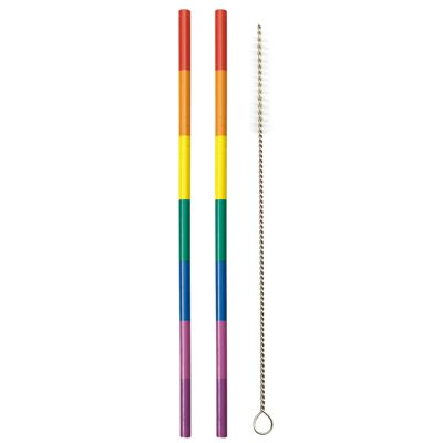 Metal Straws Rainbow (Set of 2)