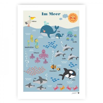 Cartel de animales marinos