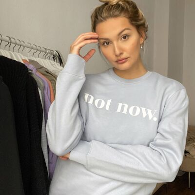 Not Now Sweater (pastel blue)