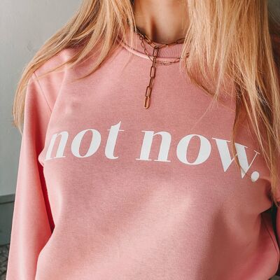 Not Now Sweater (canyon pink)