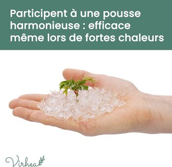 Gel rétenteur d’eau pour plantes en granulés - 200g 3