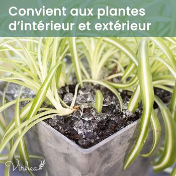 Gel rétenteur d’eau pour plantes en granulés - 200g 6