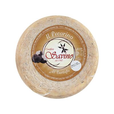 Queso curado seco - Pecorino con trufa de verano (1%) de leche de oveja de Gargano (2,5 kg)