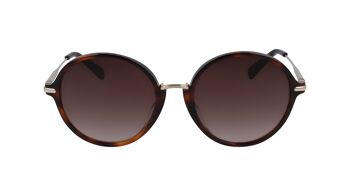 LUNETTES DE SOLEIL LONGCHAMP LO645S-214 1