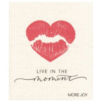 Dishcloth Kiss Live in the Moment 1