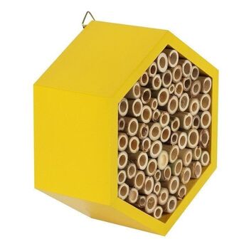 MAISON DES ABEILLES EN BOIS 4