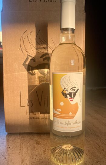 Vin blanc Les Vilaines By Bertaud Belieu côtes de Provence x 1 carton 6 bouteilles 4