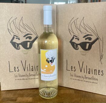 Vin blanc Les Vilaines By Bertaud Belieu côtes de Provence x 1 carton 6 bouteilles 7