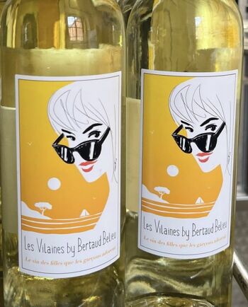 Vin blanc Les Vilaines By Bertaud Belieu côtes de Provence x 1 carton 6 bouteilles 8