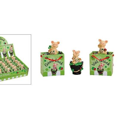 Lucky pig on poly bucket, assorted 4, W6 x D5 x H4 cm
