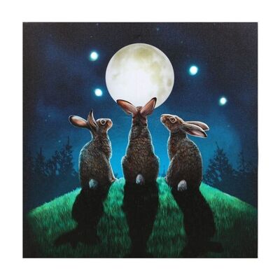 Plaque en Toile Lumineuse Moon Shadows par Lisa Parker