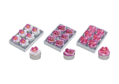 Teelicht-Set Orchidee 6-teilig, 3-fach sortiert, B3 x T4 cm