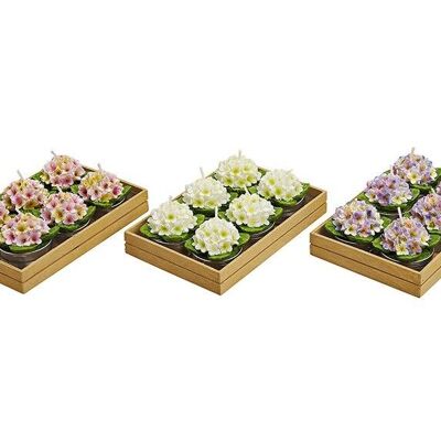 Teelicht-Set 6-teilig Blüten, 3-fach sortiert, B4 x T4 cm